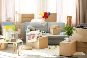 Professional Movers in Jumeirah