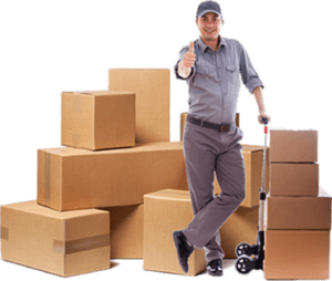 Professional Movers Packers Bur Dubai